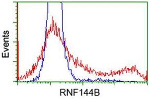 HEK293T cells transfected with either RC209302 overexpress plasmid (Red) or empty vector control plasmid (Blue) were immunostained by anti-RNF144B antibody (ABIN2453806), and then analyzed by flow cytometry. (RNF144B antibody)