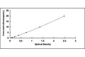 Sp7 Transcription Factor (SP7) ELISA Kit