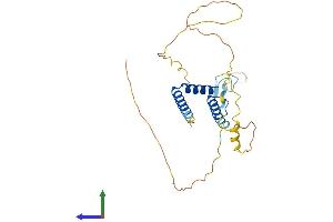 AlphaFold protein structure predicition of Human Recombinant RFXAP Protein, UniprotID O00287 (RFXAP Protein (AA 1-272) (His tag))