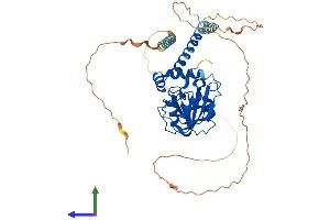 Protein Structure (PS) image for Ribosomal RNA Processing 8 (RRP8) (AA 1-457) protein (His tag) (ABIN7565004)