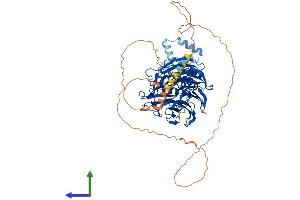 AlphaFold protein structure predicition of Human Recombinant FBXW7 Protein, UniprotID Q969H0 (FBXW7 Protein (AA 1-707) (His tag))