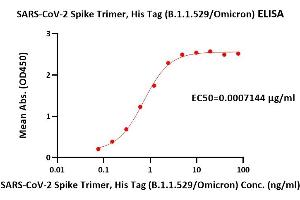 Immobilized Human ACE2, Fc Tag (ABIN6952465) at 5 μg/mL (100 μL/well) can bind SARS-CoV-2 Spike Trimer, His Tag (B. (SARS-CoV-2 Spike Protein (B.1.1.529 - Omicron, Trimer) (His tag))