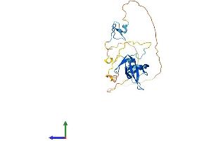 AlphaFold protein structure predicition of Mouse Recombinant Gatad1 Protein, UniprotID Q920S3