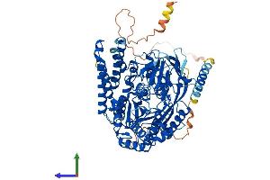 Protein Structure (PS) image for Transferrin Receptor (p90, CD71) (TFRC) (AA 1-760) protein (His tag) (ABIN7555757)