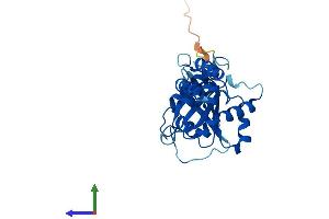AlphaFold protein structure predicition of Human Recombinant DNAJC27 Protein, UniprotID Q9NZQ0 (DNAJC27 Protein (AA 1-273) (His tag))