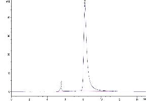 The purity of Mouse CXCL13 is greater than 95 % as determined by SEC-HPLC.