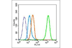 MCF-7 cells probed with Estrogen Receptor alpha (Y537) Antibody, unconjugated  at 1:100 dilution for 30 minutes compared to control cells (blue) and isotype control (orange) (Estrogen Receptor alpha antibody  (pTyr537))