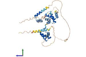 AlphaFold protein structure predicition of Human Recombinant HMBOX1 Protein, UniprotID Q6NT76