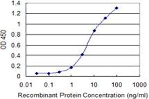 Detection limit for recombinant GST tagged NUMB is 0. (NUMB antibody  (AA 1-135))