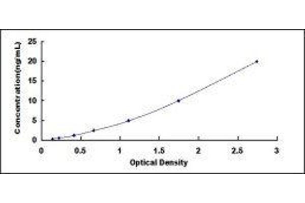 Catalase ELISA Kit