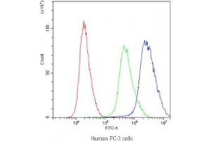Flow cytometry testing of human PC-3 cells with PTP4A2 antibody at 1ug/10^6 cells (blocked with goat sera)