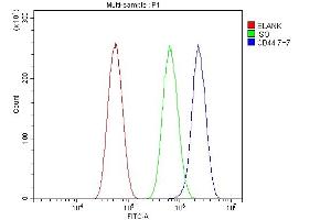Flow Cytometry analysis of U87 cells using anti-CD44 antibody (ABIN7603137). (CD44 antibody  (N-Term))