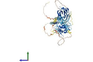 AlphaFold protein structure predicition of Human Recombinant SCNN1A Protein, UniprotID P37088 (SCNN1A Protein (AA 1-669) (His tag))