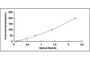 Typical standard curve (alpha KGDHC ELISA Kit)