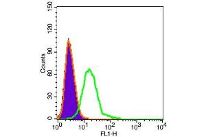 U87MG cells probed with ADAM12 Polyclonal Antibody  at 1:100 dilution for 30 minutes compared to control cells (black) and isotype control (orange). (ADAM12 antibody  (AA 201-300))