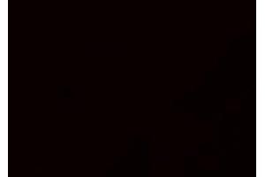 ABIN6275283 staining HeLa cells by IF/ICC. (ME1 antibody  (C-Term))