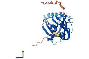 AlphaFold protein structure predicition of Mouse Recombinant Chac1 Protein, UniprotID Q8R3J5 (CHAC1 Protein (AA 1-223) (His tag))