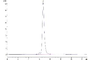 The purity of Human IL-2 R alpha/CD25 is greater than 95 % as determined by SEC-HPLC. (CD25 Protein (AA 22-213) (His-Avi Tag))