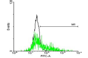 FACS analysis of negative control 293 cells (Black) and GPR143 expressing 293 cells (Green) using GPR143 purified MaxPab mouse polyclonal antibody.