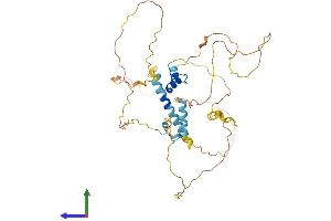 AlphaFold protein structure predicition of Human Recombinant MAMSTR Protein, UniprotID Q6ZN01 (MAMSTR Protein (AA 1-415) (His tag))