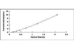 Typical standard curve (ERK2 ELISA Kit)