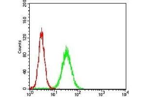 anti-Sema Domain, Immunoglobulin Domain (Ig), Short Basic Domain, Secreted, (Semaphorin) 3A (SEMA3A) (AA 359-372) antibody