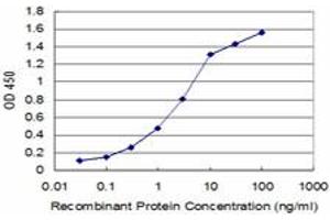 Detection limit for recombinant GST tagged HEY1 is approximately 0. (HEY1 antibody  (AA 121-220))
