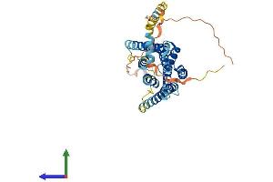 AlphaFold protein structure predicition of Human Recombinant GPR19 Protein, UniprotID Q15760 (GPR19 Protein (AA 1-415) (His tag))