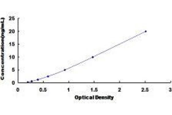 Annexin a1 ELISA Kit