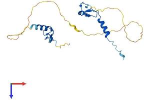 Zinc Finger, AN1-Type Domain 6 (ZFAND6) (AA 1-208) protein (His tag)