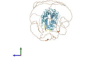 AlphaFold protein structure predicition of Human Recombinant ZFP28 Protein, UniprotID Q8NHY6