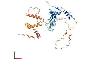 AlphaFold protein structure predicition of Mouse Recombinant Osr2 Protein, UniprotID Q91ZD1