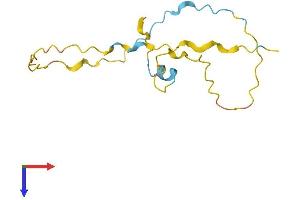 Family with Sequence Similarity 229, Member A (FAM229A) (AA 1-127) protein (His tag)