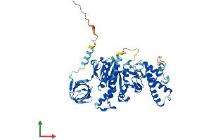 Protein Structure (PS) image for ATPase, H+ Transporting, Lysosomal 56/58kDa, V1 Subunit B1 (ATP6V1B1) (AA 1-513) protein (His tag) (ABIN7545065)