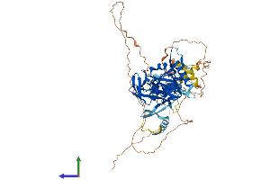 Protein Structure (PS) image for TCDD-Inducible Poly(ADP-Ribose) Polymerase (Tiparp) (AA 1-657) protein (His tag) (ABIN7554876)
