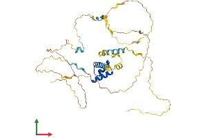 Protein Structure (PS) image for BarH-Like Homeobox 2 (BARHL2) (AA 1-387) protein (His tag) (ABIN7552656)