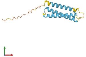 AlphaFold protein structure predicition of Human Recombinant TMEM243 Protein, UniprotID Q9BU79 (TMEM243 Protein (AA 1-118) (His tag))
