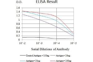 Black line: Control Antigen (100 ng),Purple line: Antigen (10 ng), Blue line: Antigen (50 ng), Red line:Antigen (100 ng) (ITGAD antibody  (AA 18-172))
