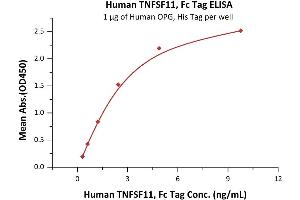Immobilized Human OPG, His Tag (ABIN2181848,ABIN2181847) at 10 μg/mL (100 μL/well) can bind Human TNFSF11, Fc Tag (ABIN5954905,ABIN6253590) with a linear range of 0.