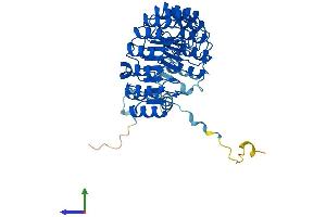 AlphaFold protein structure predicition of Human Recombinant FBXL2 Protein, UniprotID Q9UKC9 (FBXL2 Protein (AA 1-423) (His tag))