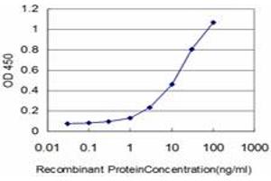 Detection limit for recombinant GST tagged COASY is approximately 1ng/ml as a capture antibody. (COASY antibody  (AA 461-564))