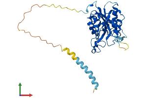 AlphaFold protein structure predicition of Mouse Recombinant B3gat1 Protein, UniprotID Q9CW73 (CD57 Protein (AA 1-334) (His tag))