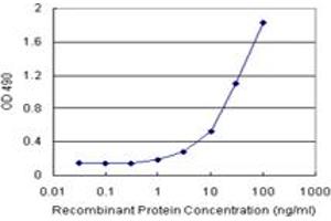 Sandwich ELISA detection sensitivity ranging from 10 ng/mL to 100 ng/mL. (NFKB1 (Human) Matched Antibody Pair)