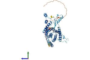 Protein Structure (PS) image for phosphatidylserine Synthase 2 (PTDSS2) (AA 1-487) protein (His tag) (ABIN7551111)