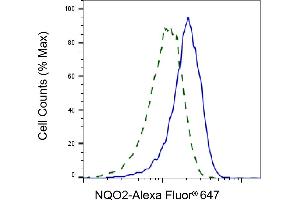 Validation of NQO2 knockdown using flow cytometry. (Recombinant NQO2 antibody)