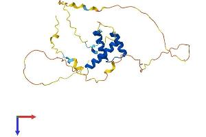 HOXD4 Protein (AA 1-250) (His tag)