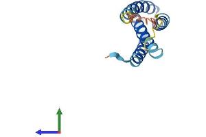 AlphaFold protein structure predicition of Human Recombinant KRTCAP2 Protein, UniprotID Q8N6L1 (KRTCAP2 Protein (AA 1-136) (His tag))