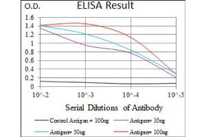 Red: Control Antigen (100ng) ; Purple: Antigen (10ng) ; Green: Antigen (50ng) ; Blue: Antigen (100ng). (UTF1 antibody  (AA 148-214))