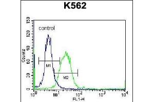 DOC2A Antibody (Center) (ABIN656766 and ABIN2845987) flow cytometric analysis of K562 cells (right histogram) compared to a negative control cell (left histogram). (DOC2A antibody  (AA 277-306))