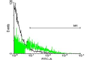 FACS analysis of 293 cells stained with STIP1 monoclonal antibody clone 2E1 (Green) and non-stained 293 cells (Black) as negative control. (STIP1 antibody  (AA 1-543))